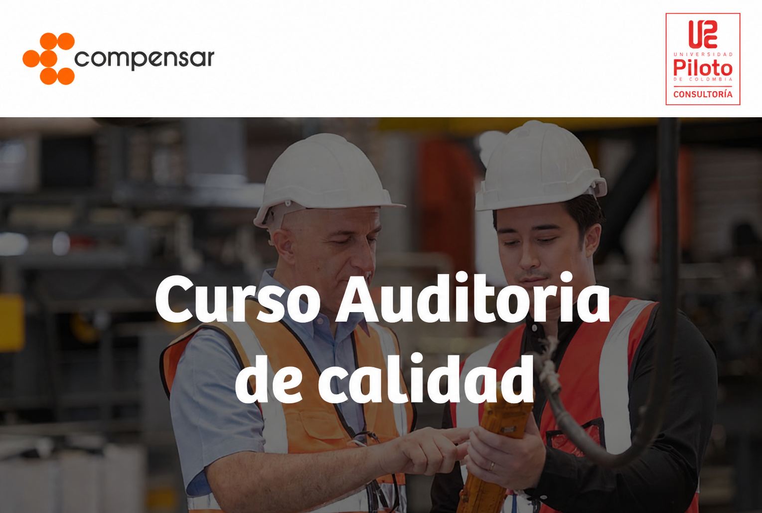 Curso Auditoria de calidad